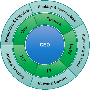 Company Functional Structure