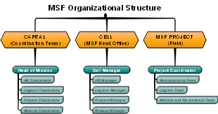MSF Organizational Structure