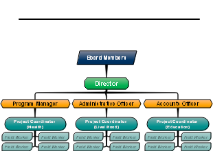 NGO Organizational Structure