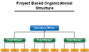 Project-Based Organizational Structure