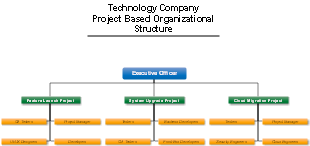 Technology Company Project Based Organizational Structure
