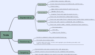 Tesla Segmentation on Targeting and Positioning