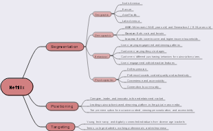 Netflix Segmentation Targeting and Positioning