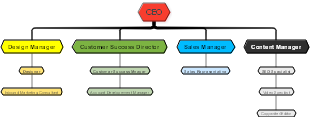 Company Organizational Structure