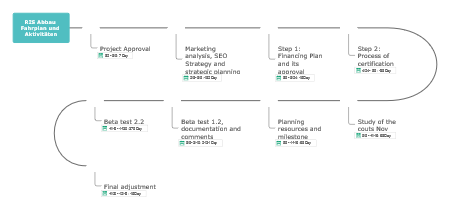 RIS Abbau Fahrplan und Aktivitäten