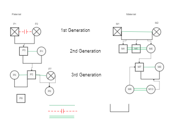 Three-Generation Pedigree Chart