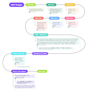 MVT Project Process