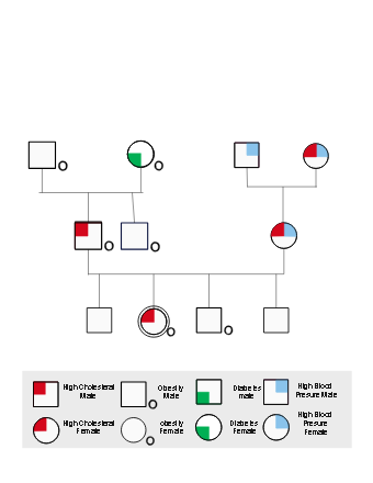 Health Assessment Genogram | EdrawMax Templates