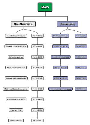 True MAIO's mind map