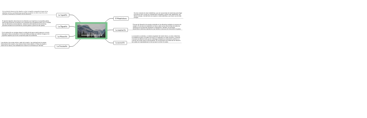 Organismos Heterótrofos