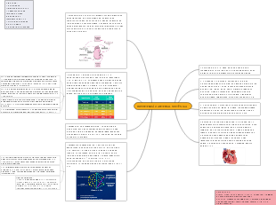 HIPERTENSÃO ARTERIAL SISTÊMICA 