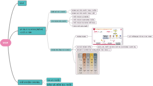 ULVI - VITALITY (948K/NĂM) +20% STBH