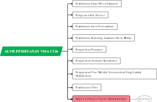 Visa Creation Flow