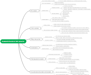 Anatomía funcional del corazón