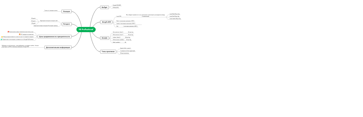 YB Professional - Маркетинговый план