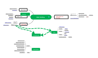 Asset Distribution of A&A Holding Corporation