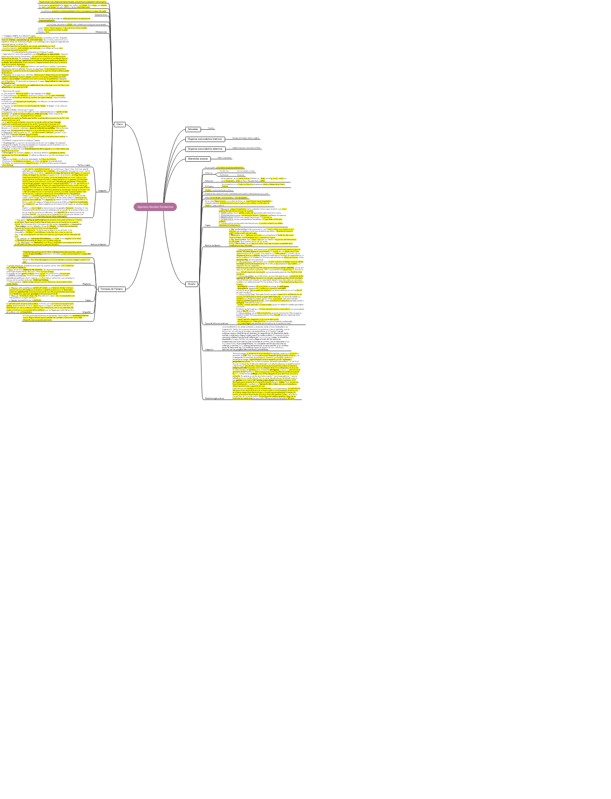 Aparato Genital Femenino