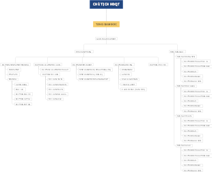 Chủ Tịch HĐQT - Tổng Giám Đốc