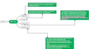 Website Marketing Plan