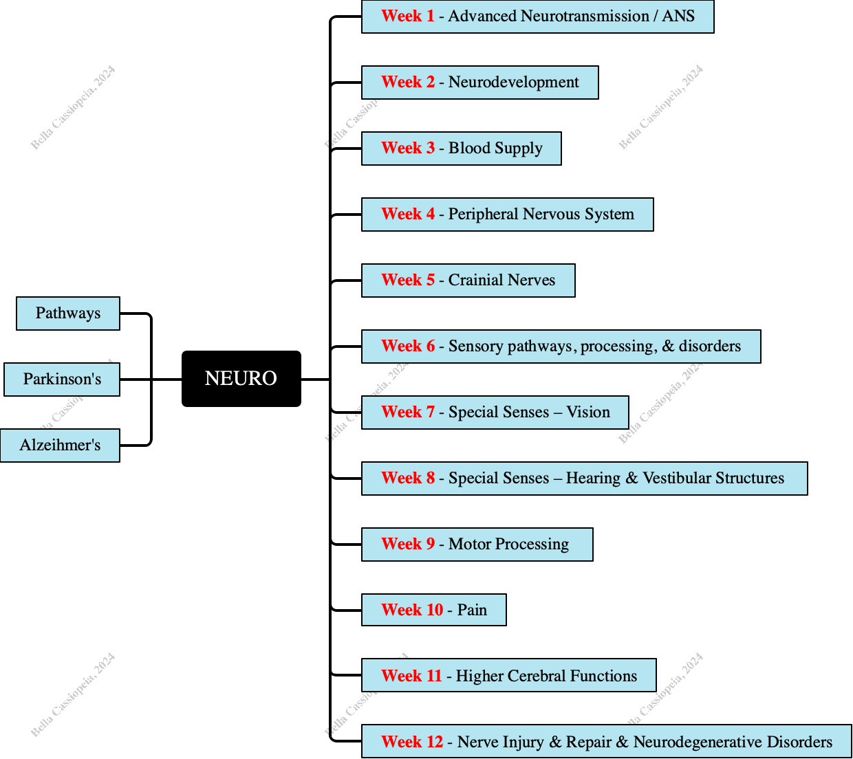 Neuroscience Curriculum