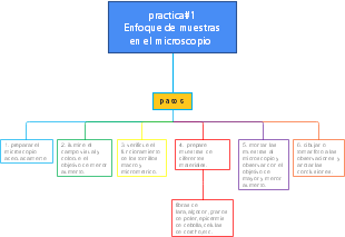 Enfoque de muestras en el microscopio 