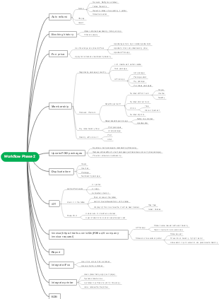 Workflow Phase planning