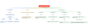 Tipos de organizaciones
