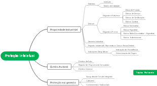 Proteção Inteletual