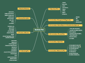 Global Integrated HealthCare Business Plan