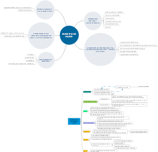 MUNICIPIO DE IBAGÚE