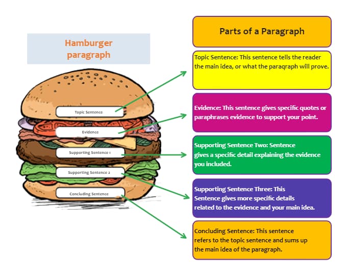 Hamburger Style Paragraph