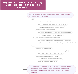 Diagrama de los eventos por los que E6 y E7 alteran el ciclo celular de la célula hospedera.