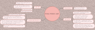 A mind map of persuasive text