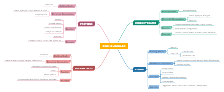 Biomolecules-Concept-Map