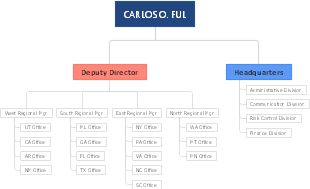 Company Structure