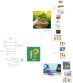 XNMN Company's Mind Map