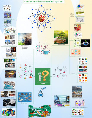 XNMN Company's Mind Map