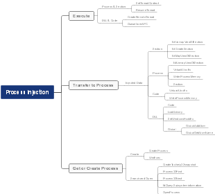 Process Injection