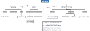 Lead Flow Plan