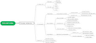 Ciclo de Krebs,