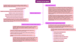 TIPOS DE AUDITORIAS.