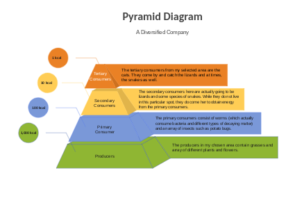Diversified Company Pyramid Diagram