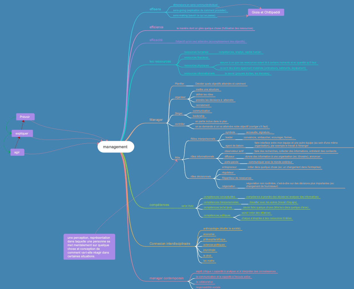 A mind map of management