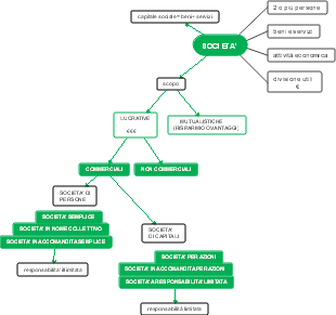 Tipologie di Società secondo lo Scopo e la Struttura