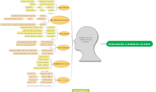 Categorización y clasificacón de cliente