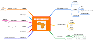 COMENG Company Structure