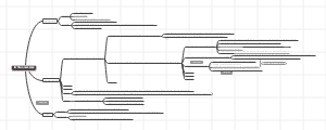 Tai Tianguang's Mind Map