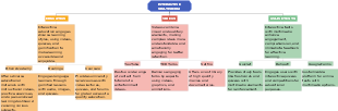Interactive Education and Multimedia Resources