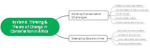 Systemic Thinking  Theory of Change in Conservation in Africa