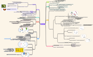 Booth Morfologia: Struttura e Funzione degli Artropodi